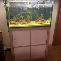 Acquario 145 litri