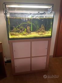 Acquario 145 litri