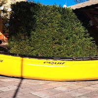 Canoa Canadese monoposto white water, senza sacche