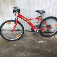 Mountain-bike