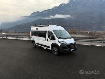 Roller Team Livingstone 2 Sport Limited edition