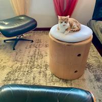 POUF che si trasforma in CAMINETTO