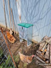 Mangiatoia automatica  Galline