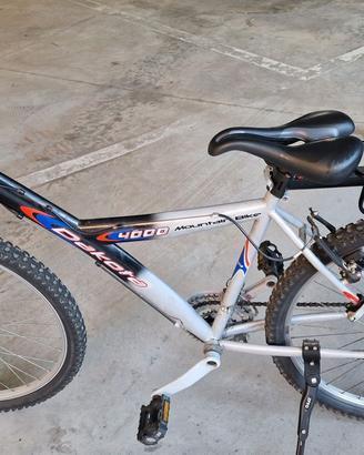 Mountain bike