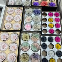 Rose stabilizzate miste