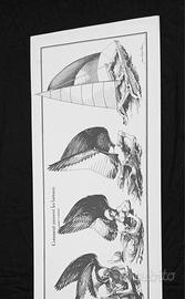 Poster Vintage Catamarano J.O. Héron 100x33 cm