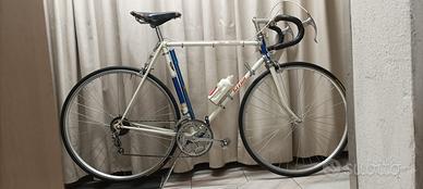 SPLENDIDA GITAN da corsa
