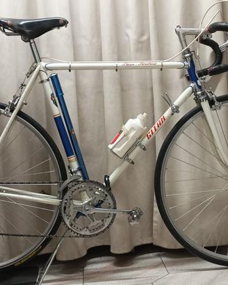 SPLENDIDA GITAN da corsa