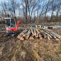 Legna lunghezza 3 metri