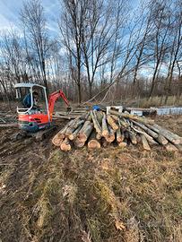 Legna lunghezza 3 metri