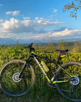 Bici Cannondale Fsi Carbon
