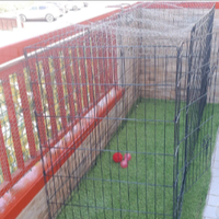 Recinto per piccoli cani e animali