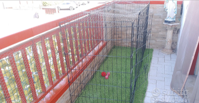 Recinto per piccoli cani e animali