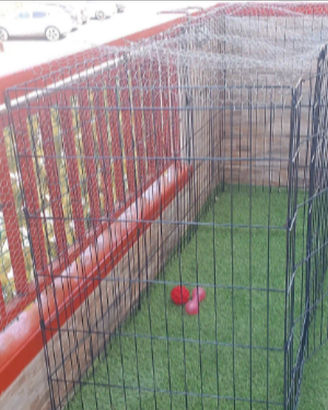 Recinto per piccoli cani e animali