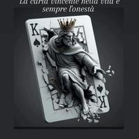 Custode tutto fare h24