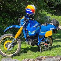 Yamaha XT 600 Ténéré 1VJ