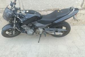 Honda Hornet 600 del 2001