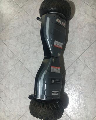 Hoverboard TWO DOTS Wildboard XL