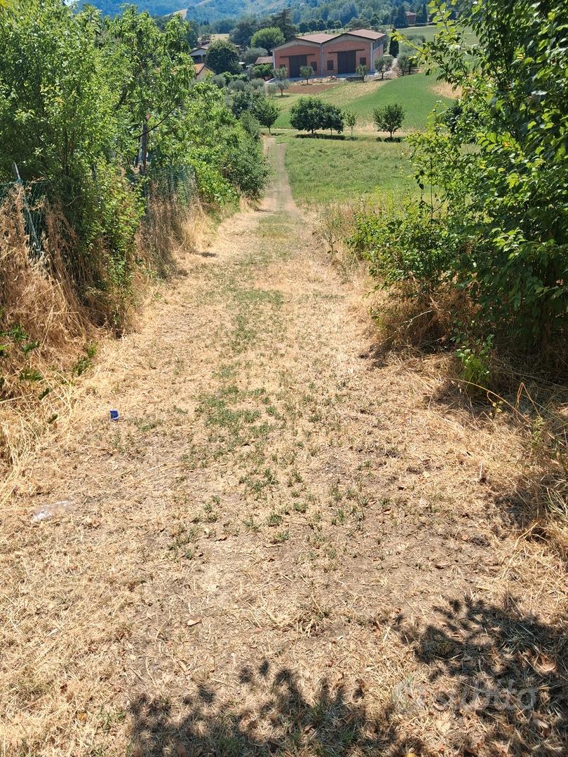 Terreno agricolo adatto alla coltivazione - Vista 5