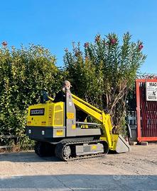 P35 Mini pala cingolata 13 q.li