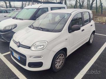 FIAT Panda Panda III 2016 1.2 Pop s - GC225GB