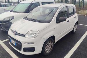 FIAT Panda Panda III 2016 1.2 Pop s - GC225GB