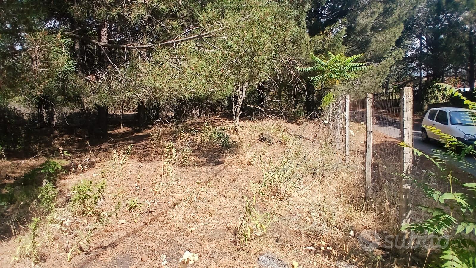 Terreno edificabile a nicolosi - Altro