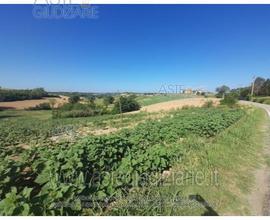Terreno Agricolo Calliano [A4284739]