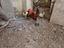 Immagine 6