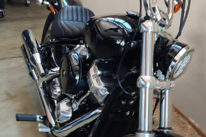 Harley Davidson softail standard 2021