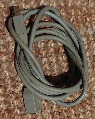 Prolunga USB tipo B