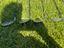 Immagine 6