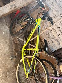 Bicletta bimbo