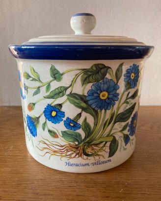 Barattolo in ceramica artistica dipinto a mano