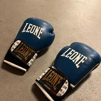 Guanti boxe Leone