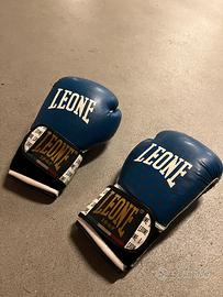 Guanti boxe Leone