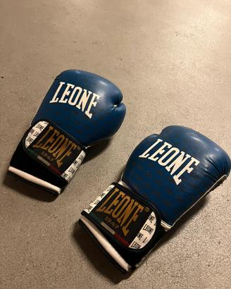 Guanti boxe Leone