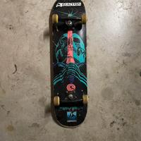 Skateboard powell peralta