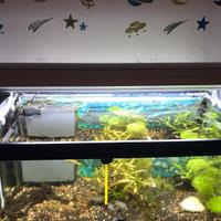 Plafoniera a 4 neon per acquario