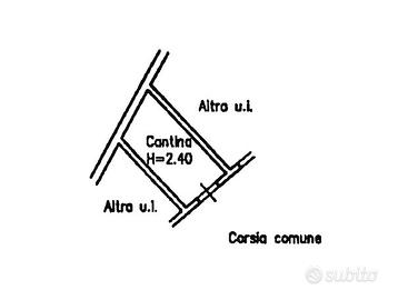 3 cantine nuove Follonica zona centrale