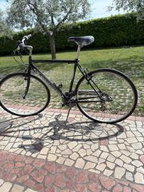 Bicicletta city bike uomo