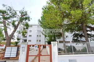 Ampio e luminoso quadrivani con box auto!