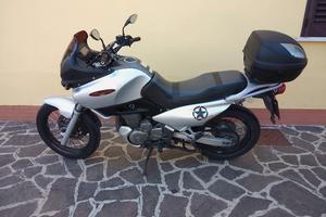Suzuki freewind 650