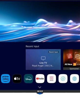 TV 43 pollici Wixo modello W4349(od)