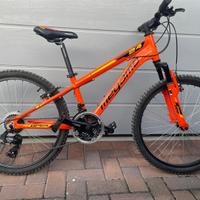 Mtb ruote 24 megamo