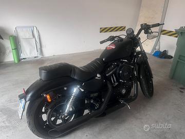 Harley 883