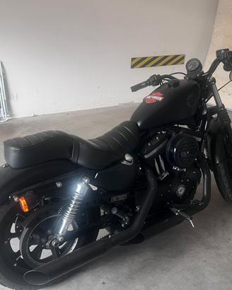 Harley 883