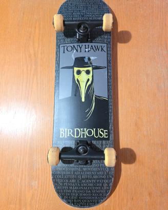 Skateboard  Birdhouse  Plague Tony Hawk