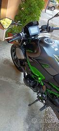 KAWASAKI Z900 PERFOMANCE 8/2025 KM 0