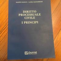 Filippo Danovi - Diritto Processuale